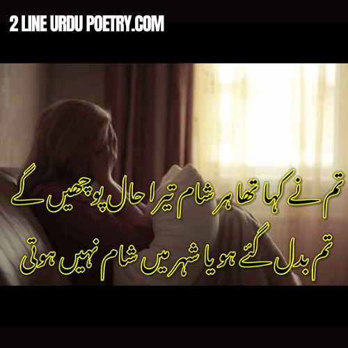 Bewafa Shayari Sad Shayari | 2 Line Bewafa Poetry | Best Urdu Nazam